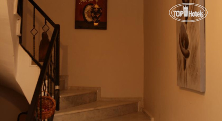 New photos from tourists Antonio Hotel