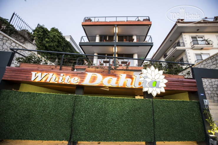 Hotel photo White Dahlia Hotel 