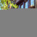 Фото Naz Wooden House Inn