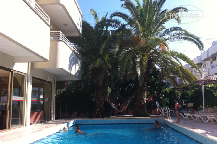 New photos from tourists Green Palm Hotel