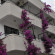 Фото Neptun Hotel