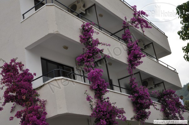 Hotelier's photos Neptun Hotel