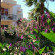 Photos Baraka Hisaronu