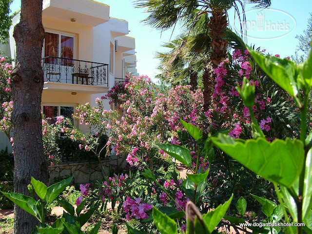 Hotel photo Baraka Hisaronu 