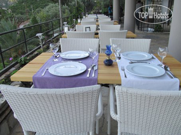 New photos from tourists Serena Suites