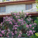 Photos Selimhan Hotel