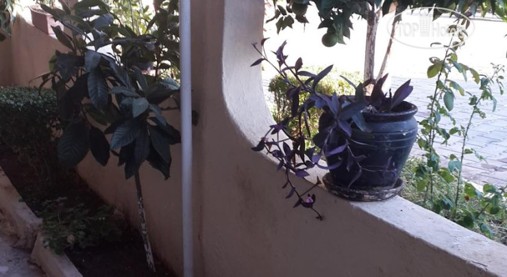 New photos from tourists Ozcan Pansiyon