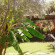 Photos Doga Pension