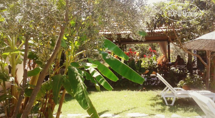 Hotelier's photos Doga Pension