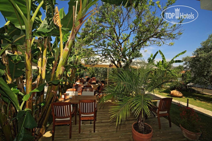 New photos from tourists Mavi Deniz Konuk Evi Hotel