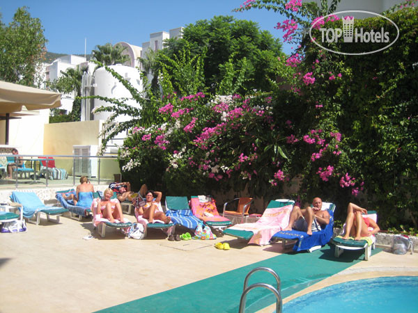 New photos from tourists Miray Hotel 3*