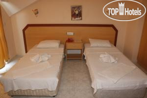 New photos from tourists Swans 1 Hotel