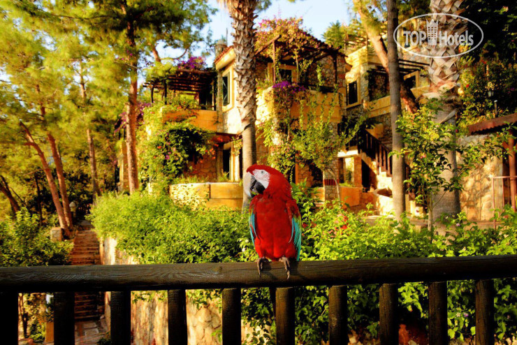 Hotelier's photos Symbola Oludeniz Beach Hotel 3*