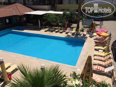 New photos from tourists Bena Hotel