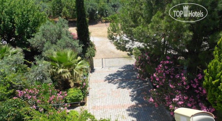 New photos from tourists Dream Garden