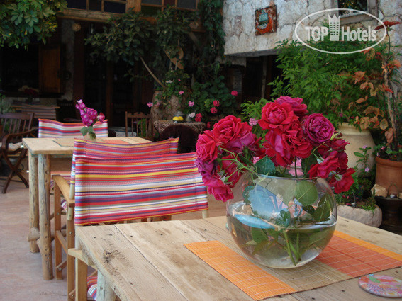 New photos from tourists Fidanka Hotel