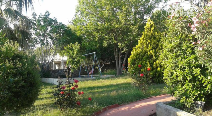 New photos from tourists Gonul Hotel