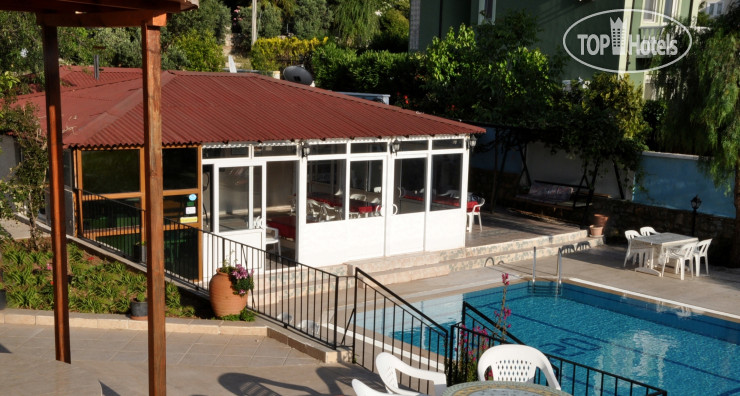 New photos from tourists Tarzan Family Hotel