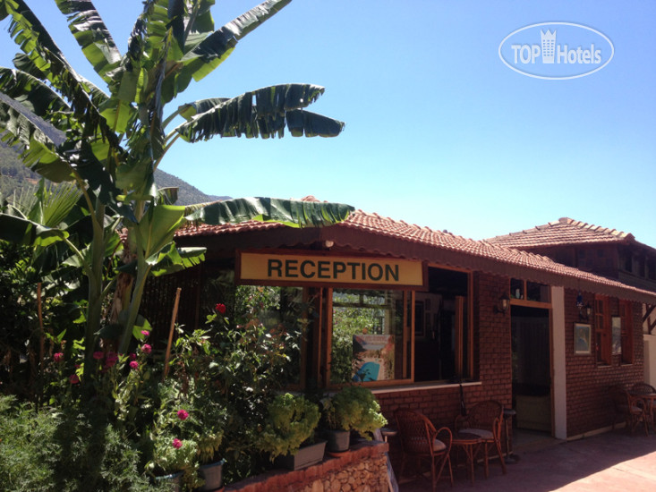 New photos from tourists Aygul Hotel