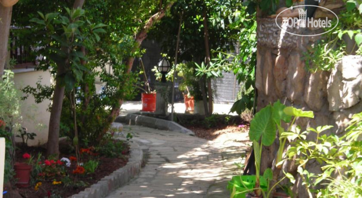 New photos from tourists Unlu Hotel