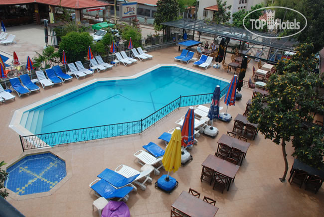 New photos from tourists Magic Tulip Beach Hotel