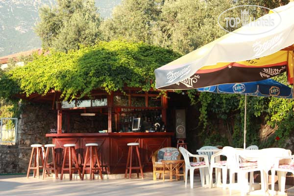 New photos from tourists Elze Hotel