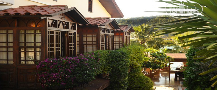 Hotel photo Villa Daffodil Hotel 3*
