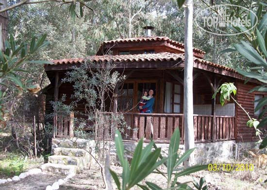 Hotelier's photos Pastoral Vadi