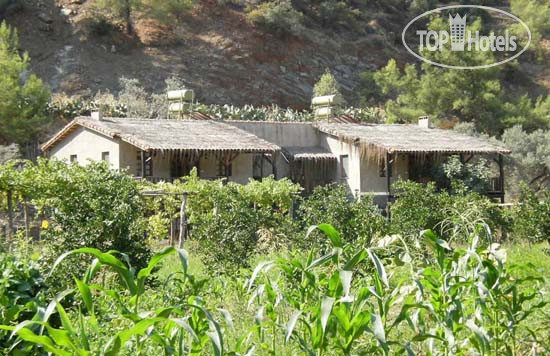 New photos from tourists Pastoral Vadi