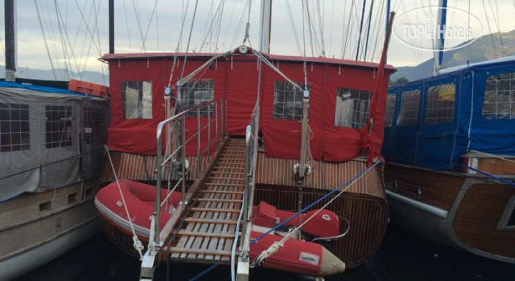 New photos from tourists Sea Angel 2 Yachting
