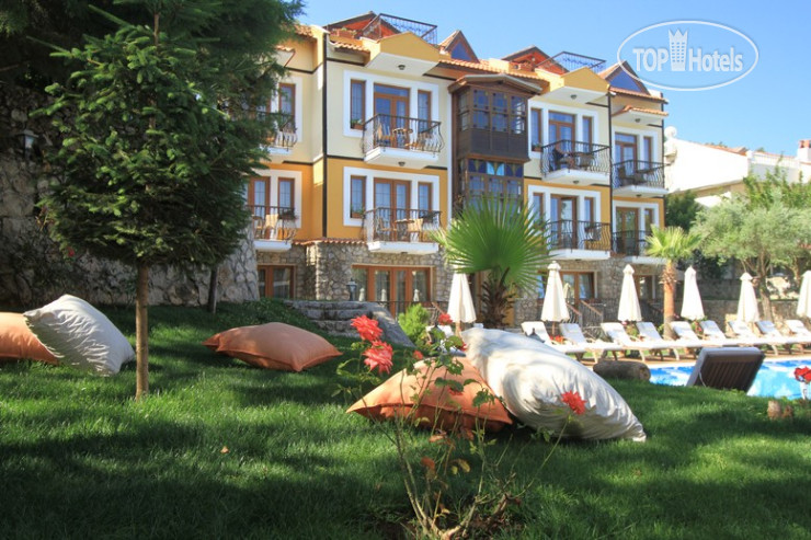 New photos from tourists The Olive Tree Studios Hotel