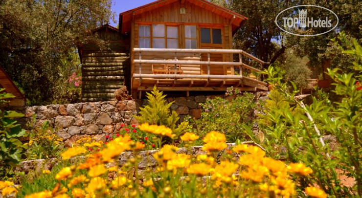 Hotelier's photos Olive Garden Kabak Hotel