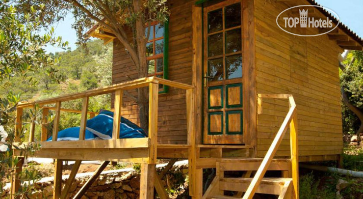Hotel photo Latcho Bungalows Hotel 