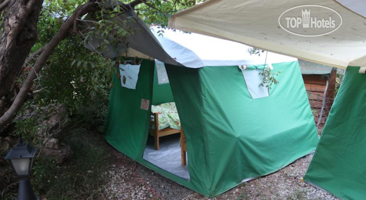 Hotelier's photos Kabak Valley Camp