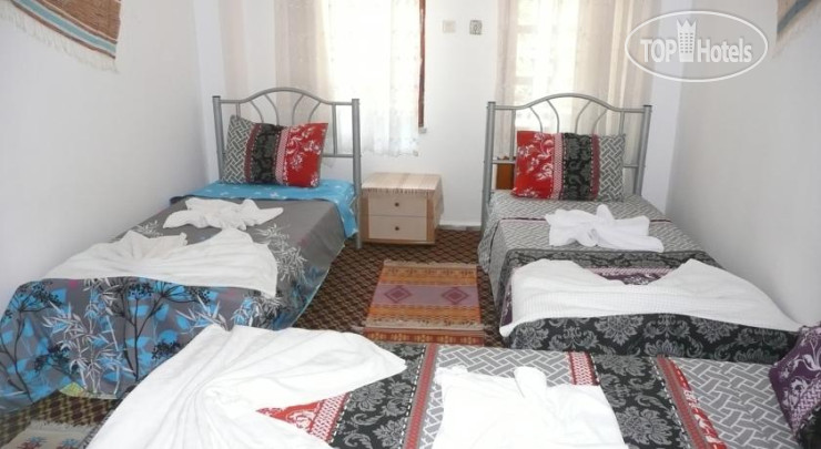 New photos from tourists Ideal Pension