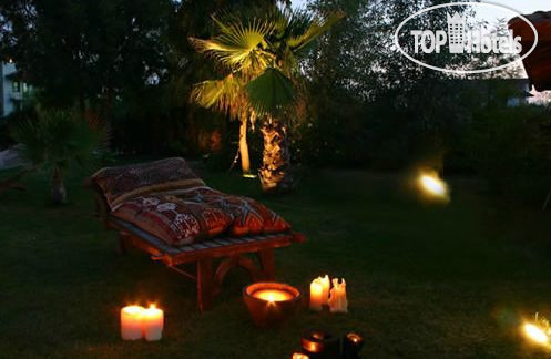 New photos from tourists Efe Hotel 2*
