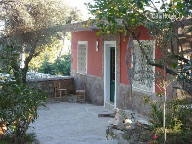 Hotel photo Medusa House 