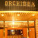 Фото Orchidea