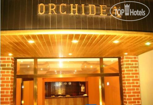 Hotelier's photos Orchidea