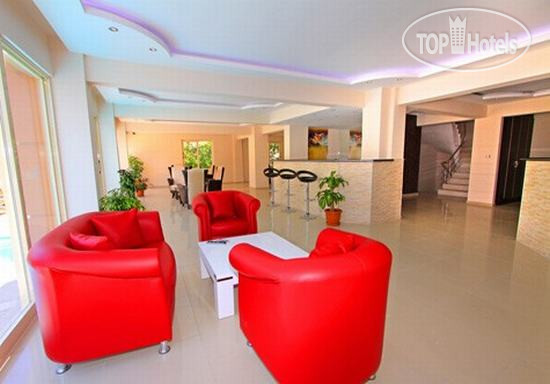 New photos from tourists Aristo Hotel 3*