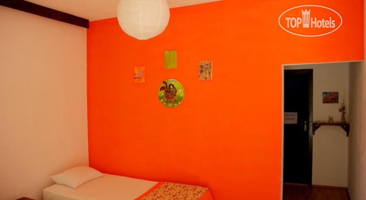 New photos from tourists Dionysos Lodge