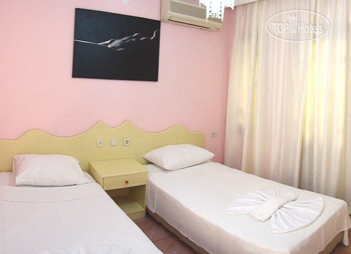 New photos from tourists La Nova Hotel
