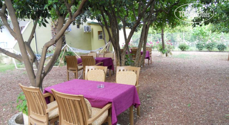 New photos from tourists Cirali Olympos Hotel