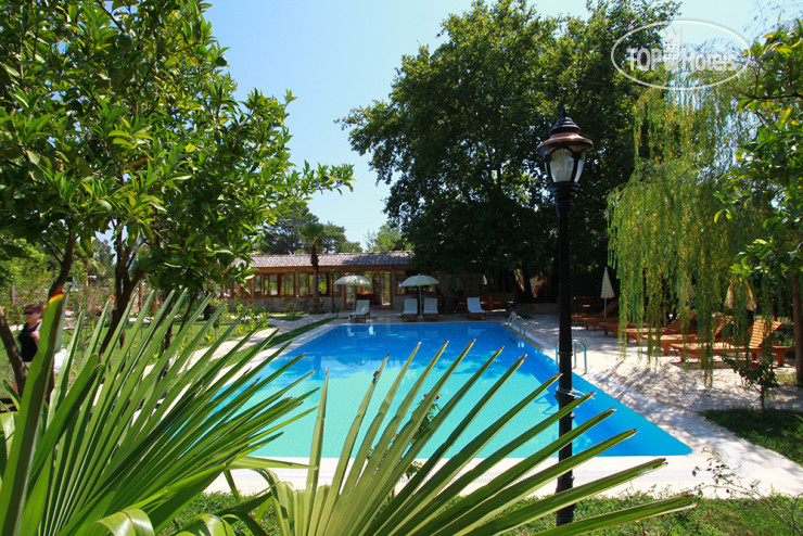 New photos from tourists Sedir Palas Hotel