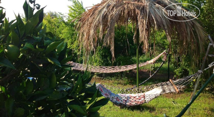 New photos from tourists Turkuaz Bungalows