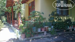Фотографии отеля  Selin Pension 