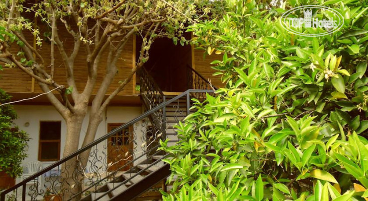 Hotel photo Cesur Pansiyon 