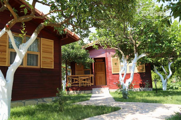 Hotelier's photos Mercan Bungalow