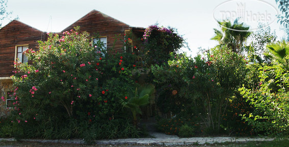 Hotelier's photos Sahin Pansiyon