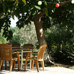 New photos from tourists Sahin Pansiyon